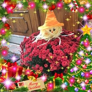 Meet your Posher, Erjun